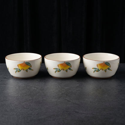 Tachiso Floral Printed Serving Bowl Set – 4 Pieces | Premium Ceramic Bowls