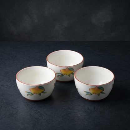 Tachiso Floral Printed Serving Bowl Set – 4 Pieces | Premium Ceramic Bowls