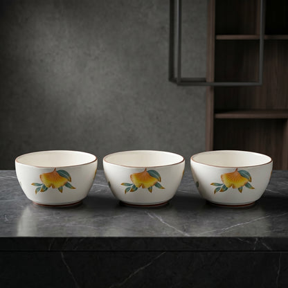 Tachiso Floral Printed Serving Bowl Set – 4 Pieces | Premium Ceramic Bowls