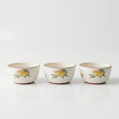 Tachiso Floral Printed Serving Bowl Set – 4 Pieces | Premium Ceramic Bowls