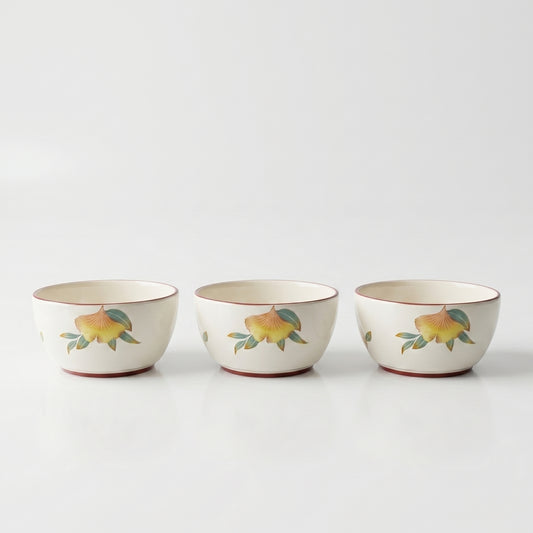 Tachiso Floral Printed Serving Bowl Set – 4 Pieces | Premium Ceramic Bowls