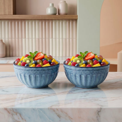 Premium Ceramic Bowl Set of 2 – Tachiso Blue Textured Serving Bowls